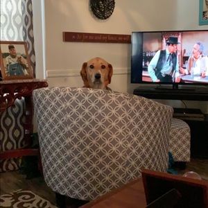 *** Bundle to Save****